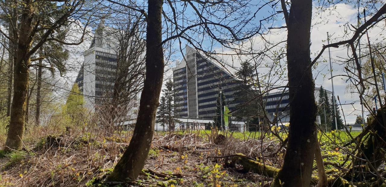 Zur Alten Tischlerei Oberhof (Thuringia) Exterior foto